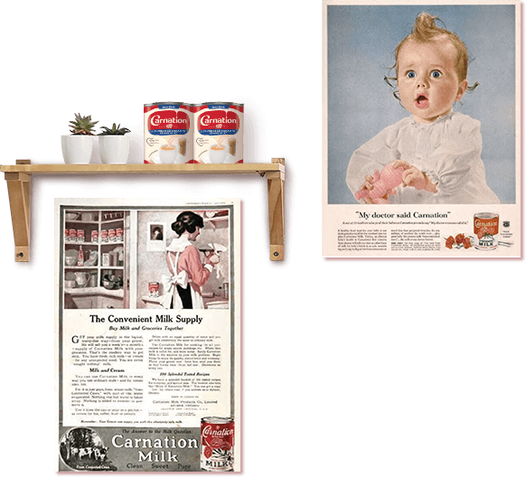 carnation-posters
